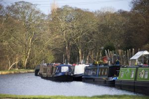 apperly bridge 29 sm.jpg